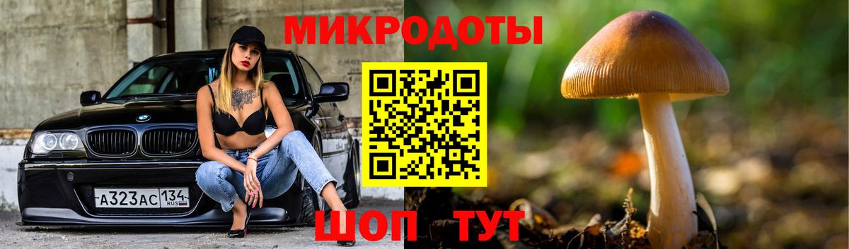 Псилоцибиновые грибы Magic Shrooms Камышлов