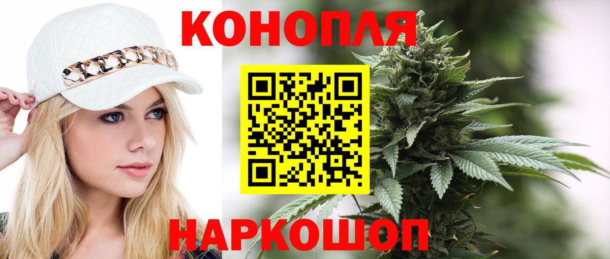Бошки Шишки VHQ Камышлов